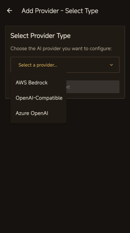 InOne provider setup screen with AWS Bedrock, OpenAI-Compatible, and Azure OpenAI options.